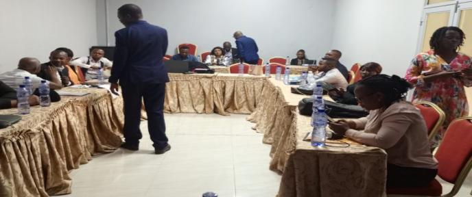 Kinshasa : les Défenseurs évaluent les outils de surveillance de la liberté de la presse